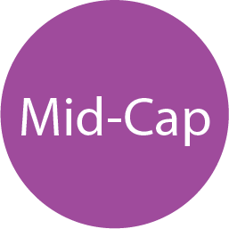 Mid-Cap Mid-Cap